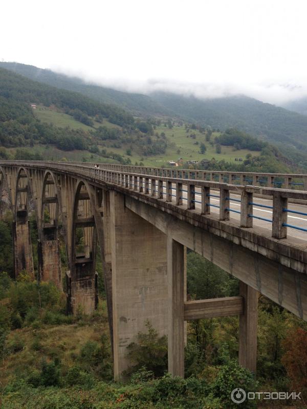 Мост Джурджевича над рекой Тара (Черногория, Плевля) фото