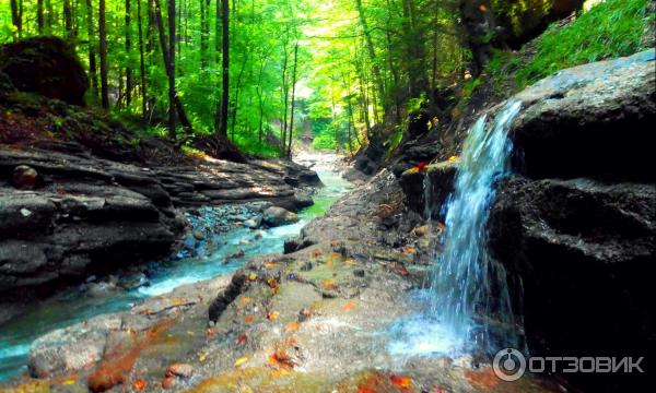 Никитино Краснодарский Край Фото