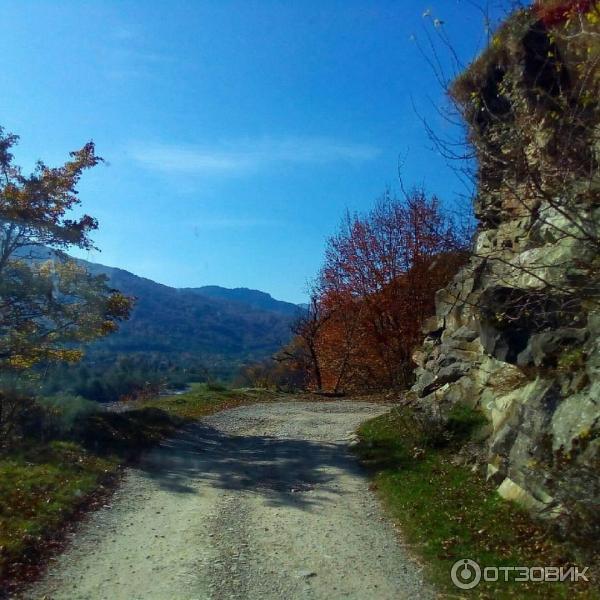 Никитино Краснодарский Край Фото