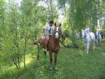Турбаза "Серая лошадь" (Россия, Нижний Новгород) фото