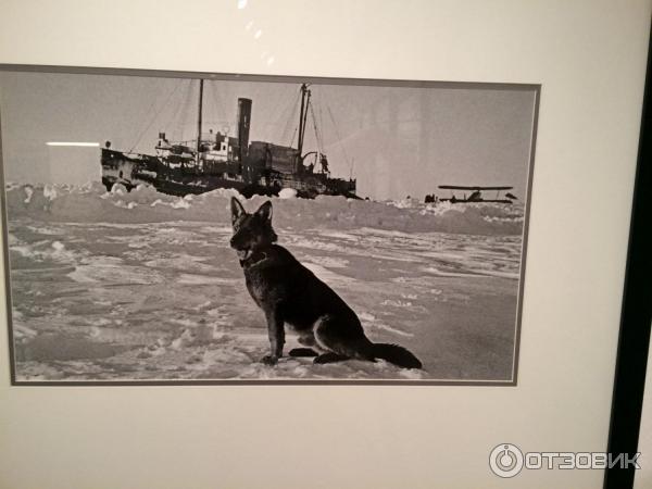 Центр фотографии имени братьев Люмьер (Россия, Москва)