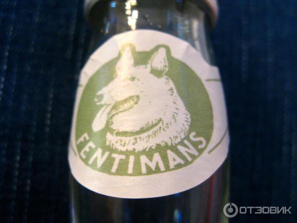 Собака на лимонаде Fentimans Wild English Elderflower