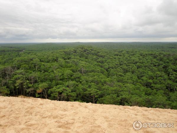 Экскурсия Dune de Pila (Франция, Аркашон) фото