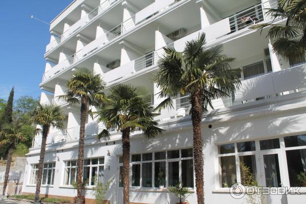 Ялта 365 отель. Ялта круглый год новости. Ялта отель ялта круглый год. Ялта 365недельный тур. Ялта круглый год недельный тур.