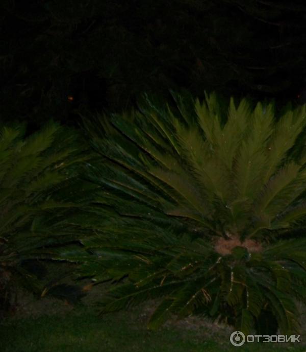 Отдых в поселке Текирова (Турция) фото