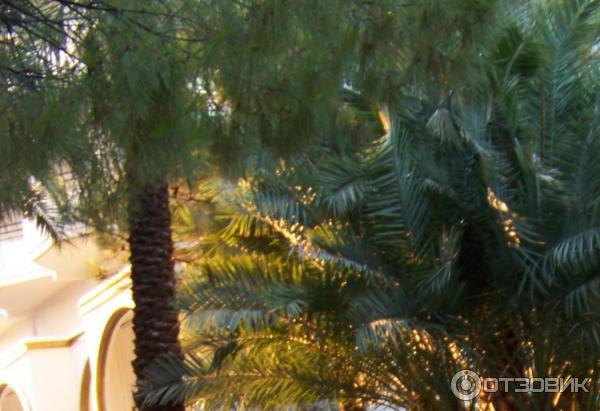 Отдых в поселке Текирова (Турция) фото