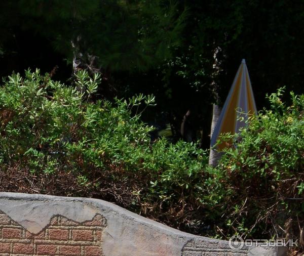 Отдых в поселке Текирова (Турция) фото