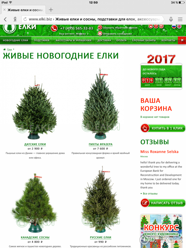 Купить Елку Живую С Доставкой