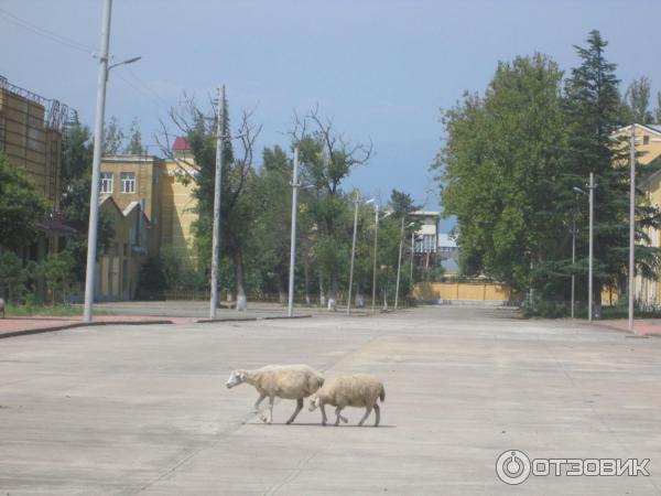 Кутаисский автомобильный завод (Грузия, Имеретия) фото