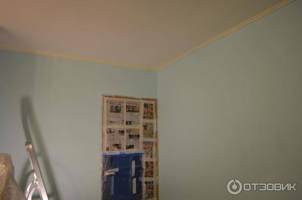 50gy 72 012 dulux в интерьере