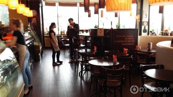 Сны любимого кота калуга