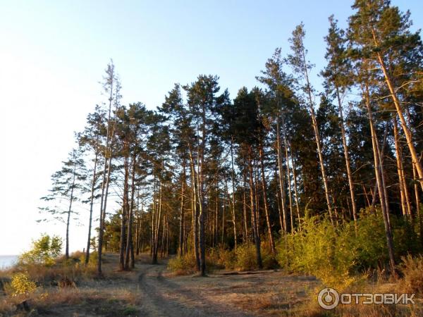 Дом отдыха и санаторий Белый Яр (Россия, Ульяновская область) фото