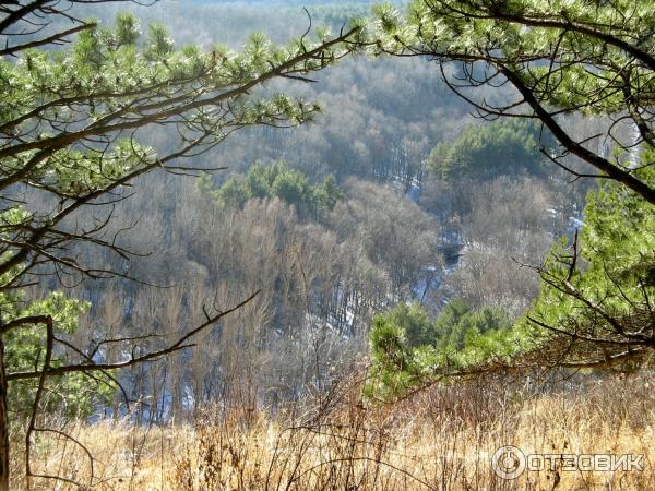 Отдых в г. Кисловодск (Россия) фото