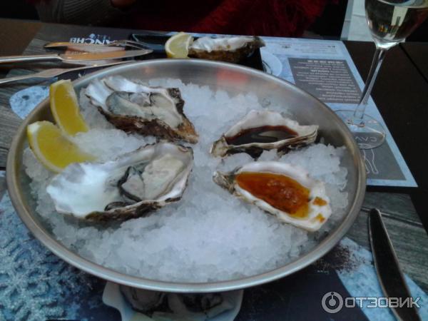 Бар OYSTERS CAVA BAR (Украина, Киев) фото