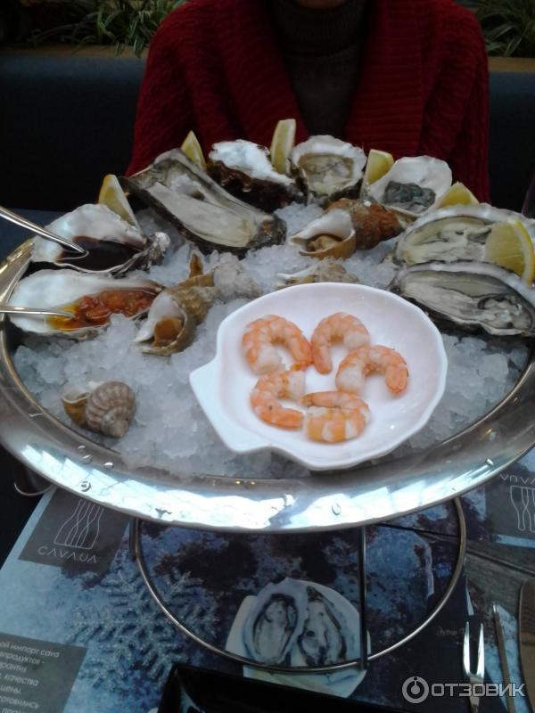 Бар OYSTERS CAVA BAR (Украина, Киев) фото