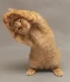 костя68
