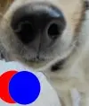Vladsl
